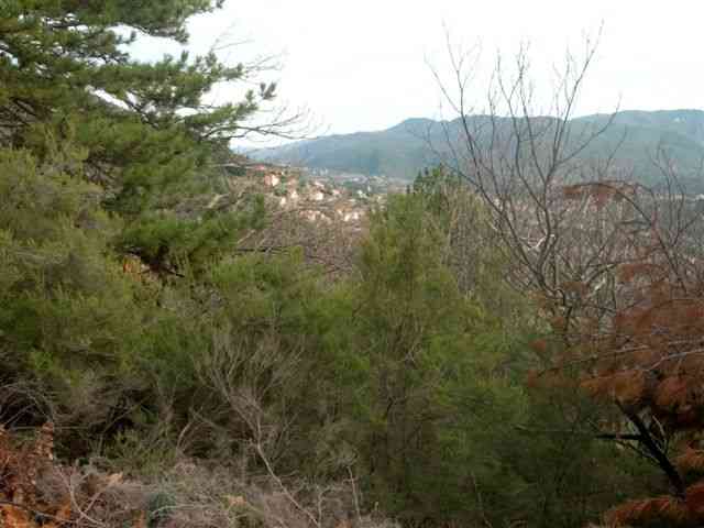Agrandir l'image Panorama