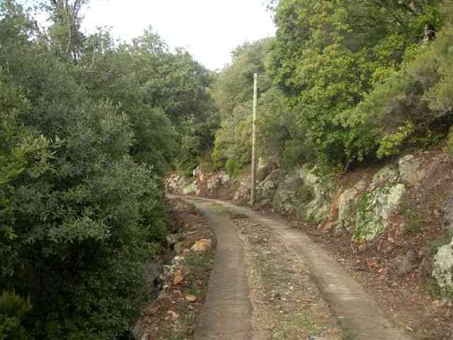 Agrandir l'image Chemin