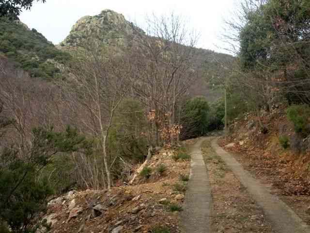 Agrandir l'image Chemin