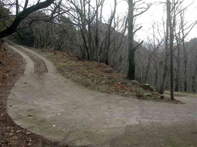 Agrandir l'image Chemin