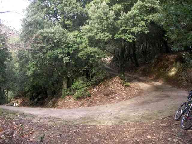 Agrandir l'image Chemin
