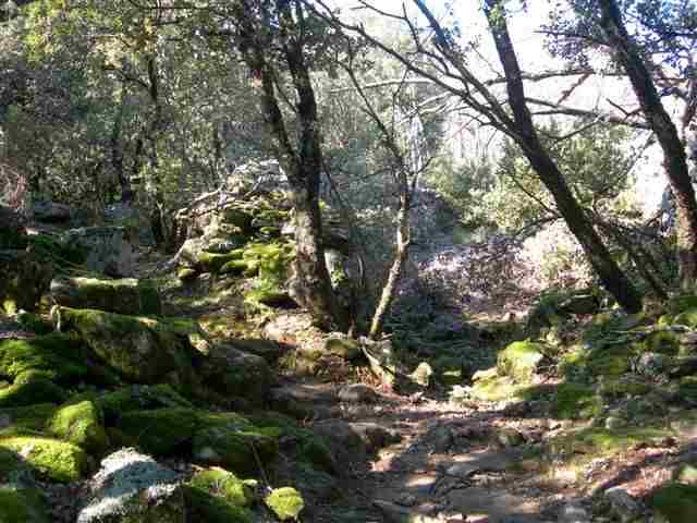 Agrandir l'image GR col de Sécadou à Col de Laouzo Negro