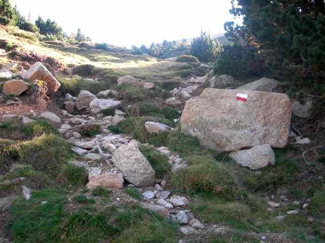 Agrandir l'image GR au-dessus der Vallter 2000