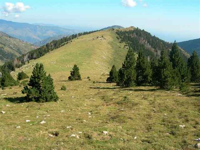 Col en direction des Collets Verts