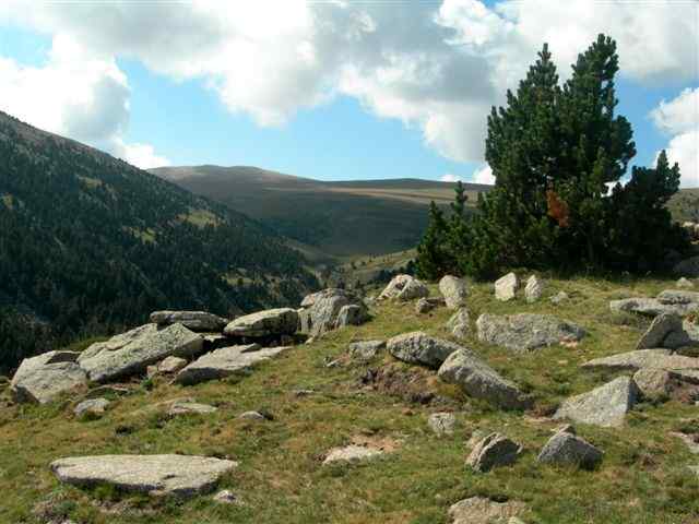 Agrandir l'image Sente entre Collets verts et Portella de Morenç