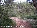 Agrandir l'image Coll de Glaieta - ES-B-0170