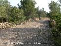 Agrandir l'image Coll de la Cisterna - ES-B- 53 mètres