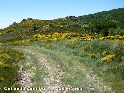 Col de la Ventibouco - FR-34-0965c