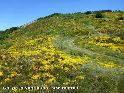 Col de la Ventibouco - FR-34-0965c