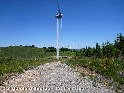 Col du Plo d'Espluc - FR-34-1065