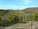 Agrandir l'image Col de la Pale - FR-12-0608