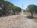 Agrandir l'image Coll de Canyelles - ES-B-0283