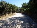 Agrandir l'image Coll de Peira - ES-B-0258