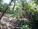 Agrandir l'image Coll de Vinassa - ES-B- 0467
