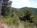 Agrandir l'image Collet de l'Espinagosa - ES-B-0350b