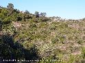 Agrandir l'image Coll D'Esparigueres - ES-T-0270a