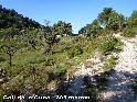 Coll de la Cuna - ES-T-0398 mtres