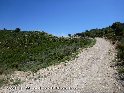 Agrandir l'image Coll de Monetze - ES-T-0632