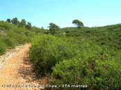 Collado de los Tocones - ES-V- 374 mtres