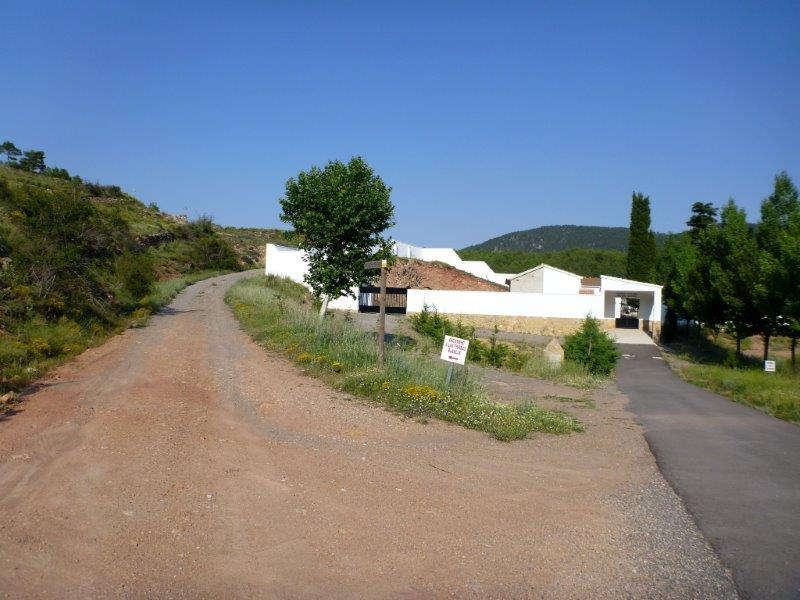 Agrandir l'image Torrijas