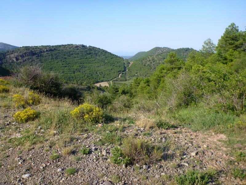Agrandir l'image Torrijas