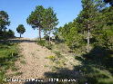 Agrandir l'image Collado (del) Paso - ES-TE-1379