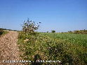 Agrandir l'image Collado Marín - ES-TE-1338