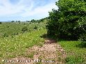 Agrandir l'image Pas de Tirecul - FR-12-0804a