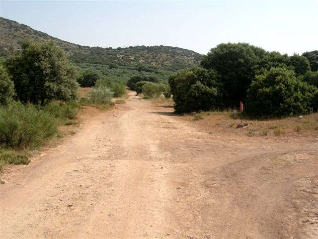 Agrandir l'image En direction du Puerto de la Dehesa Alta