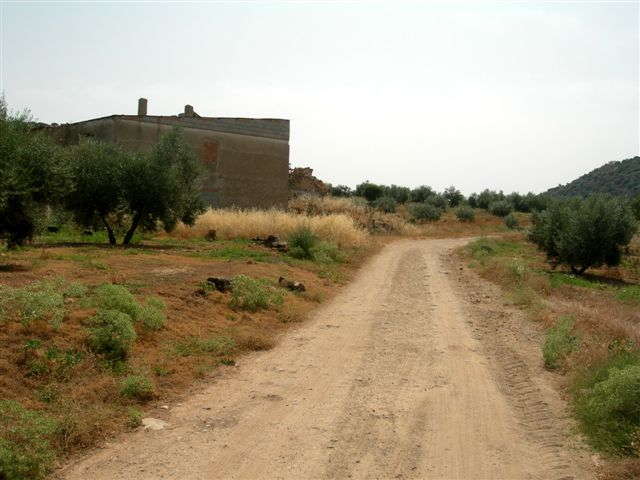 Agrandir l'image En direction du Puerto de la Dehesa Alta