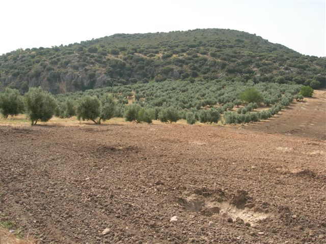 Agrandir l'image Puerto de la Dehesa Alta - ES-GR- 1063 mètres