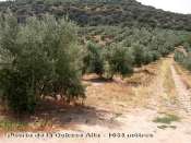 Puerto de la Dehesa Alta - ES-GR- 1063 mtres