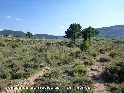 Agrandir l'image Collado de las Traviesas - ES-TE-1241a