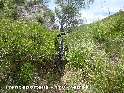 Agrandir l'image Trencaportells - ES-T-0170b