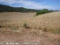 Agrandir l'image Coll de Mas Marí - ES-T-0700a