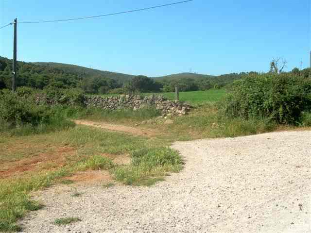 Chemin du Coll Fe en sortie de Begues