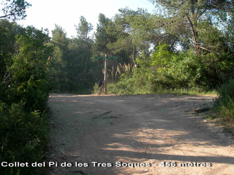 Coll del Pi de les Tres Soques