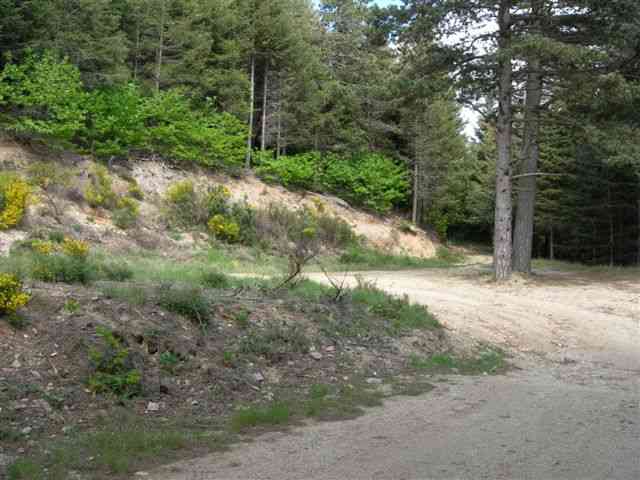 En direction du Col de Folabric