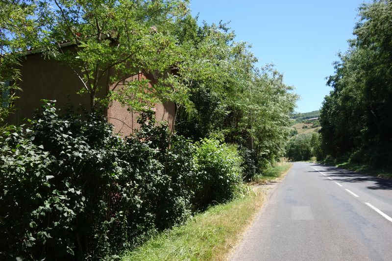 de la halte de Calmels à la gare de Vabres