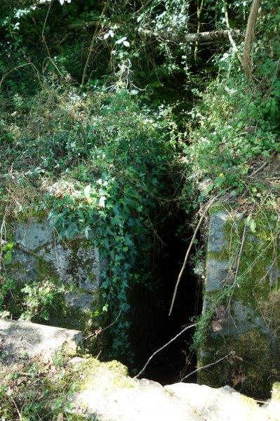 Agrandir l'image D'Ambialet à la halte de Courris