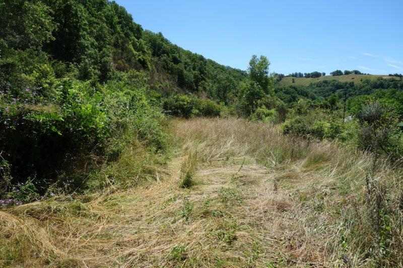 Agrandir l'image Ligne des Rougiers de la gare de Broquiès à la gare de Saint-Izaire