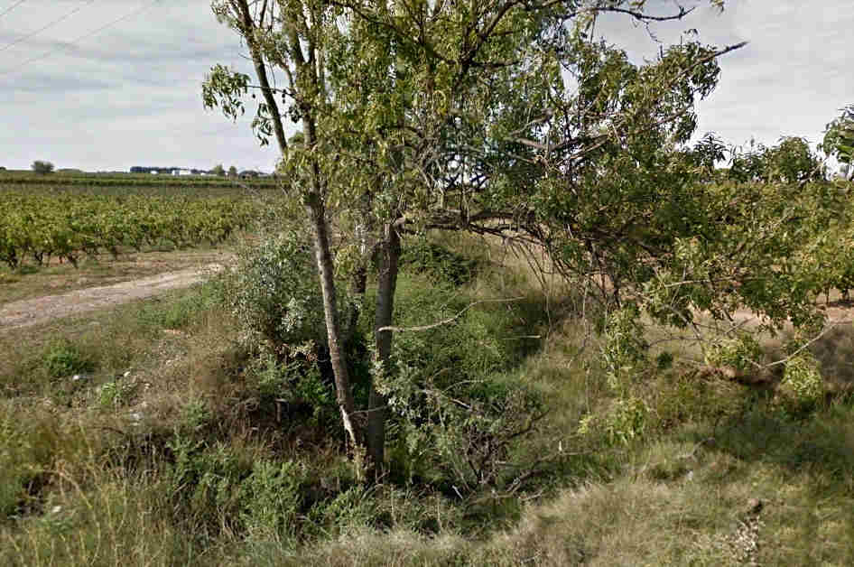 Gare de Pinet à la gare de Font-Mars