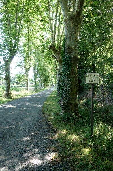 Agrandir l'image De la gare de Soual à la gare de Lempaut