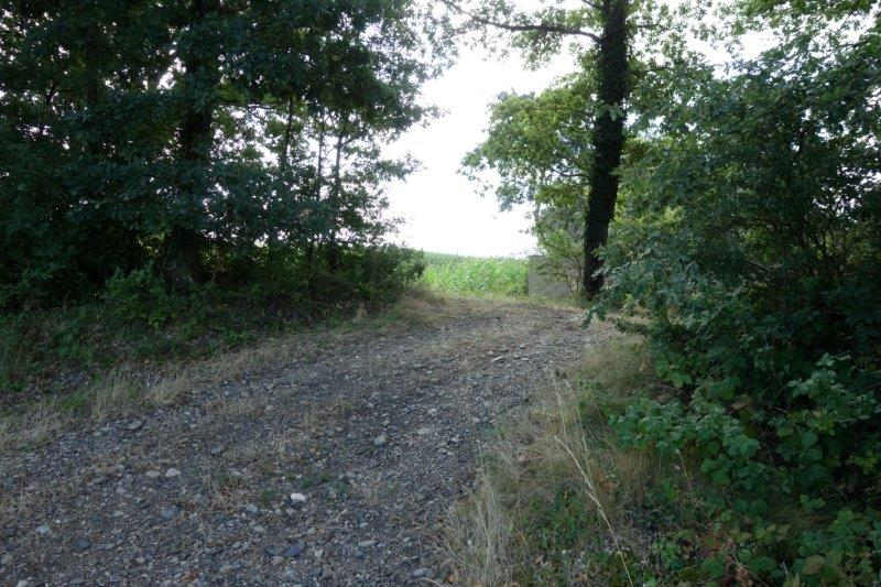 Agrandir l'image De la gare de Lempaut à la gare de Soual