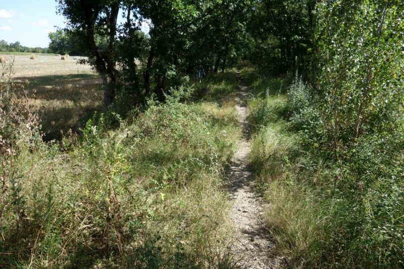 Agrandir l'image De la gare de Lempaut à la gare de Soual