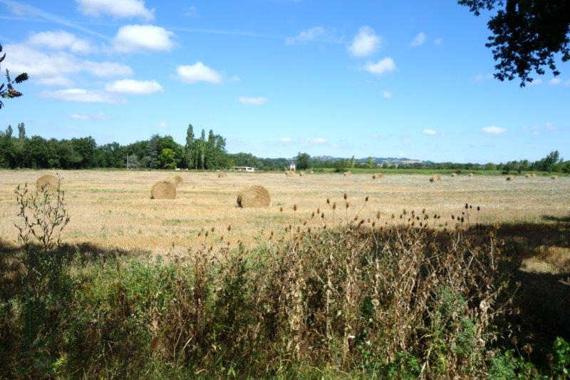 Agrandir l'image De la gare de Lempaut à la gare de Soual
