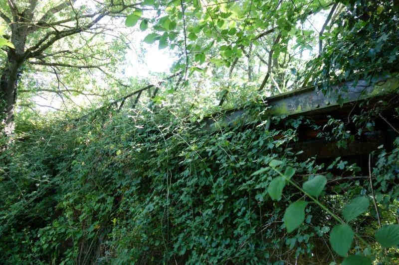 Agrandir l'image De la gare de Lempaut à la gare de Soual