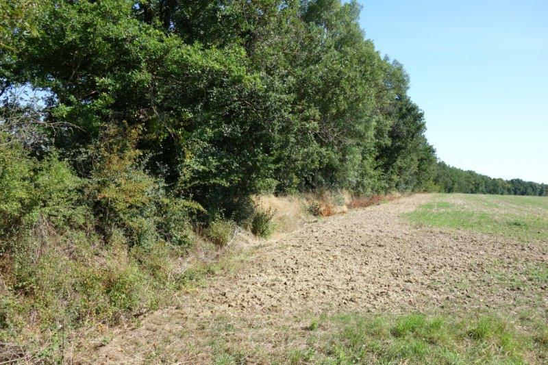 Agrandir l'image De la halte de Blan à la gare de Lempaut