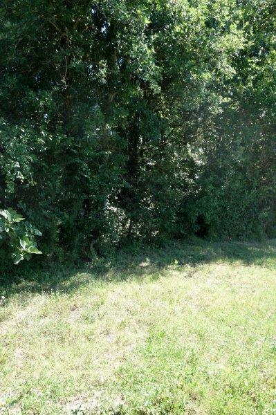 Agrandir l'image De la halte de Blan à la gare de Lempaut