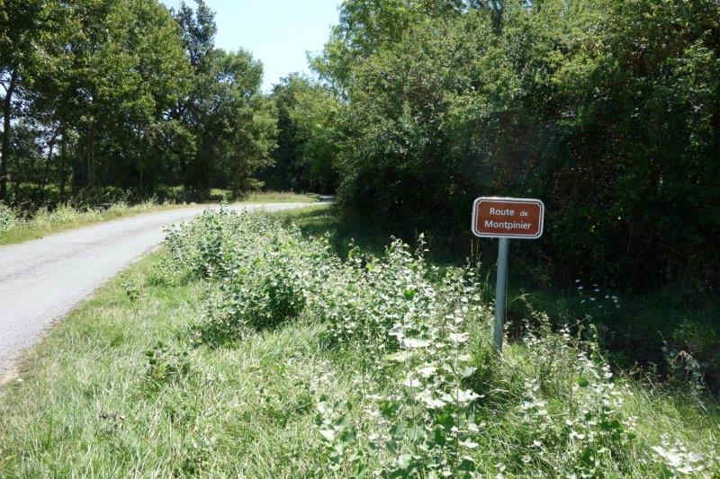 Agrandir l'image De la halte de Blan à la gare de Lempaut